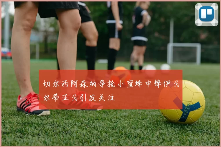 切尔西阿森纳争抢小蜜蜂中锋伊戈尔蒂亚戈引发关注